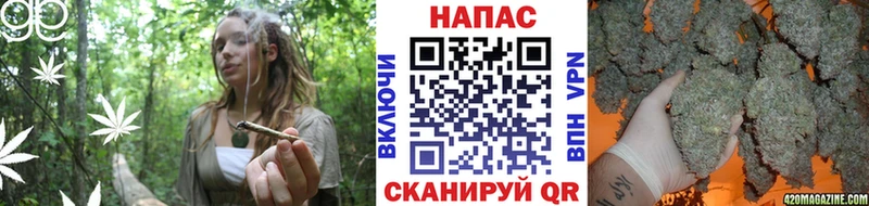 Бошки Шишки планчик  Кыштым 